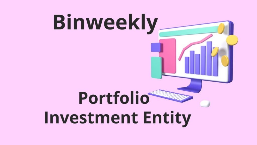 Portfolio Investment Entity