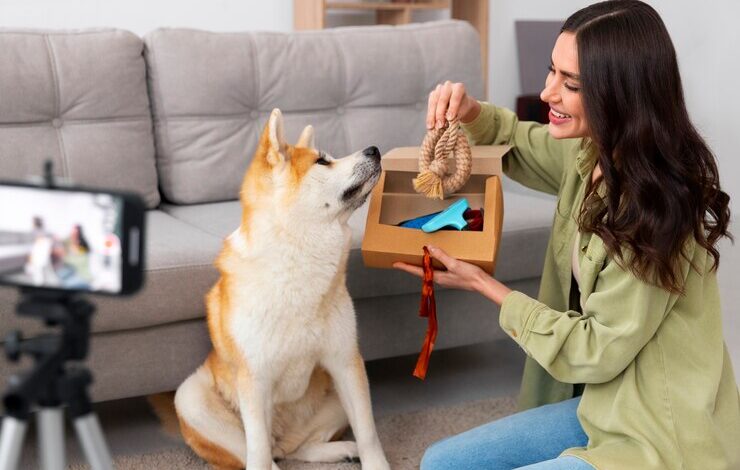 Dogtor Box: Lift Your Pet’s Health with Vet-Endorsed Care